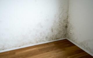 corner of a room of an empty and new apartment with wooden floors and white walls and a serious toxic mold and mildew problem, Schimmel, Schimmelpilzentferner helfen, Schimmel im Haus, Schimmel in Wohnung, Schimmel in Ecke