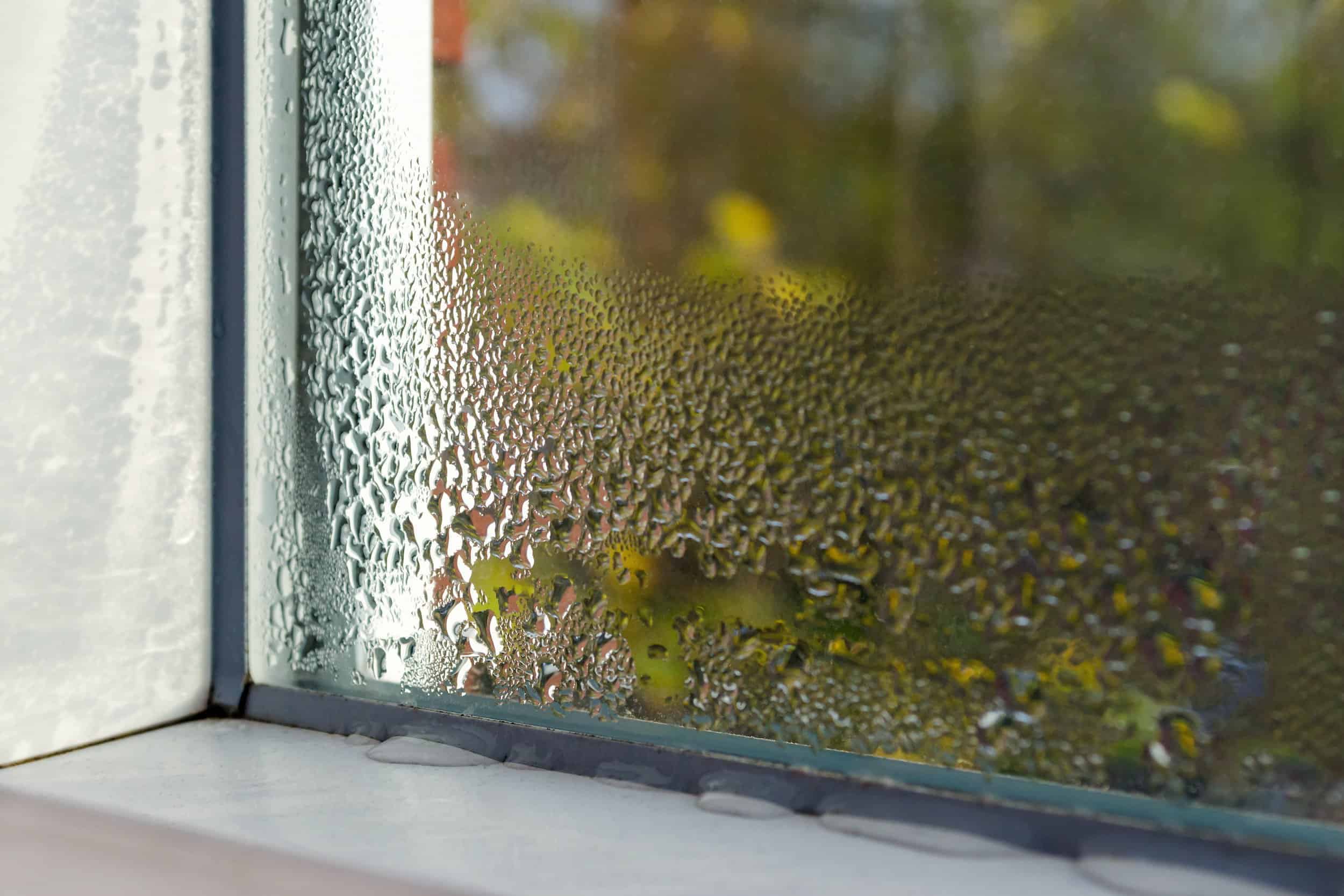 Winter und Kondenswasser am Fenster - Schimmelgefahr! window with water drops closeup, frame inside, selective focus