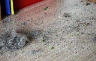 Hausstaub im Zimmer. Studie warnt vor 45 Chemikalien im Hausstaub, die eine Gesundheitsgefahr darstellen können.