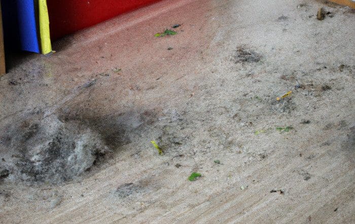 Hausstaub im Zimmer. Studie warnt vor 45 Chemikalien im Hausstaub, die eine Gesundheitsgefahr darstellen können.