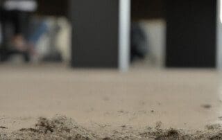 Im Hausstaub sind gesundheitsschädliche Chemikalien