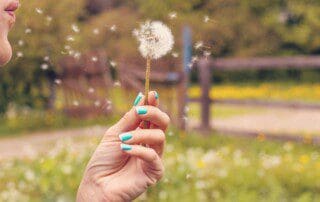 Top-Luftreiniger gegen Pollen: Jetzt günstig erhältlich