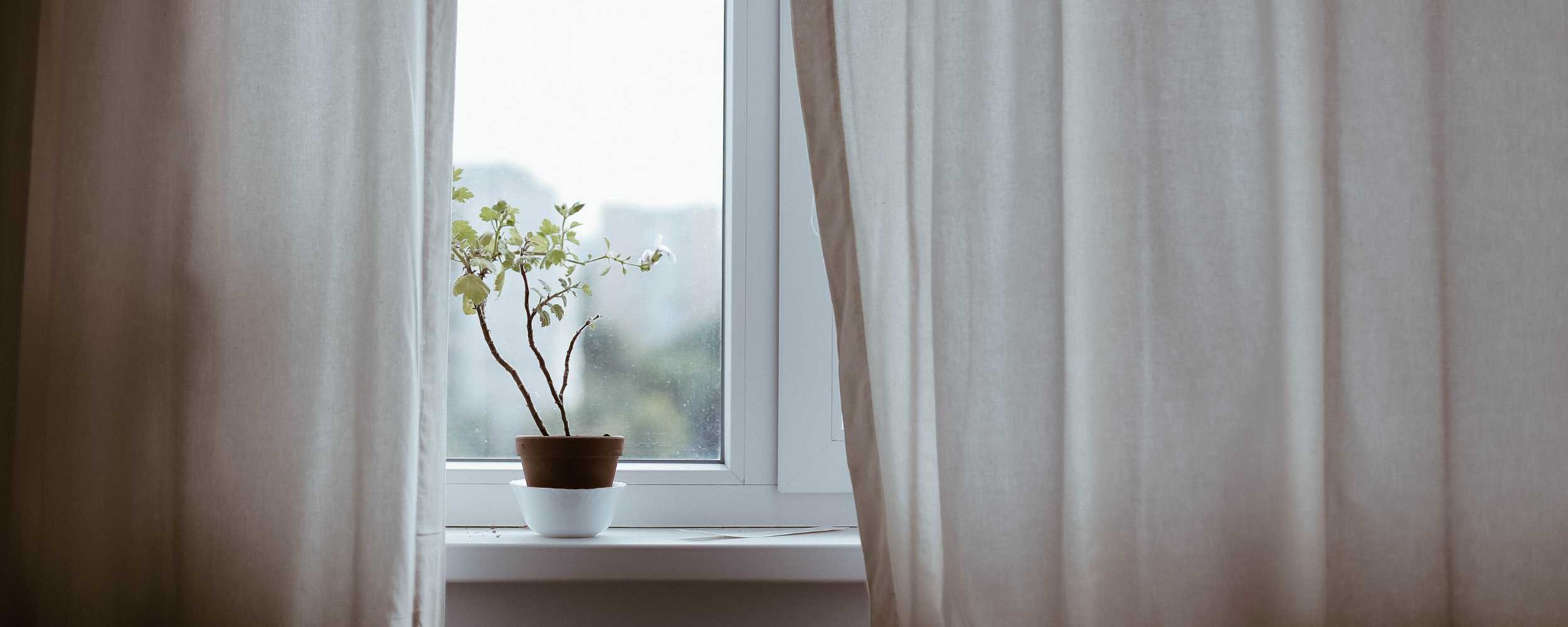 Fenster mit Vorhängen und Topfpflanze. Helles Interieur, ruhige Atmosphäre. Natürliches Licht, minimalistisches Design. Zimmerpflanze auf Fensterbank.