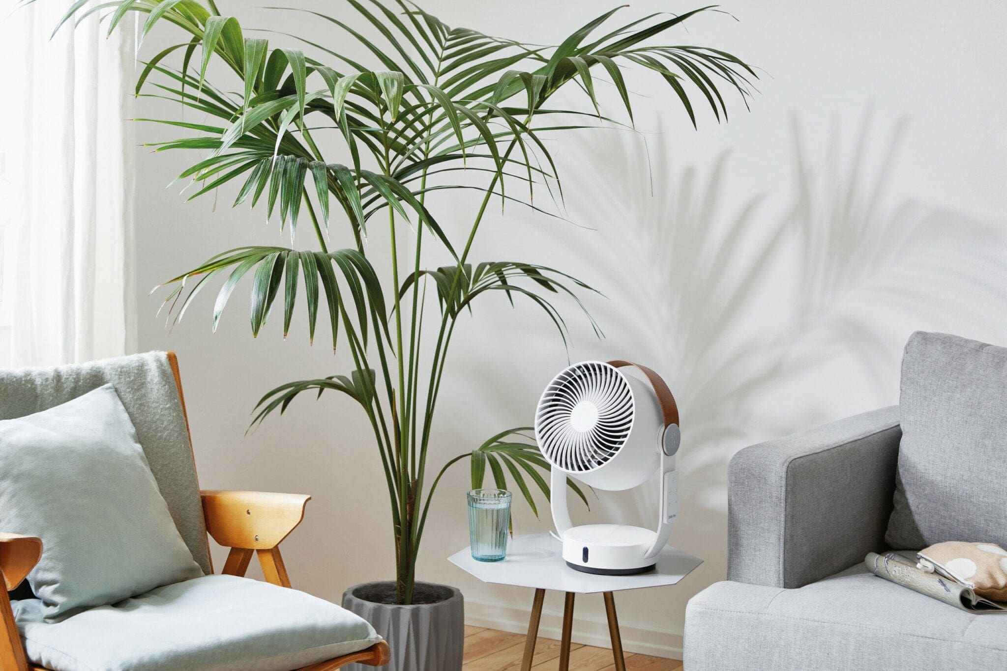 Weißer Ventilator SF Leo auf Tisch neben Pflanze. Design Ventilator für Zuhause. Luftzirkulation und Kühlung im Wohnzimmer.