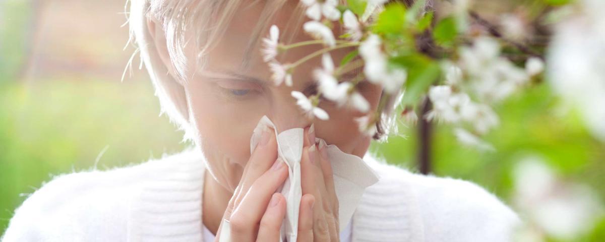 Luftreiniger für Allergiker kaufen