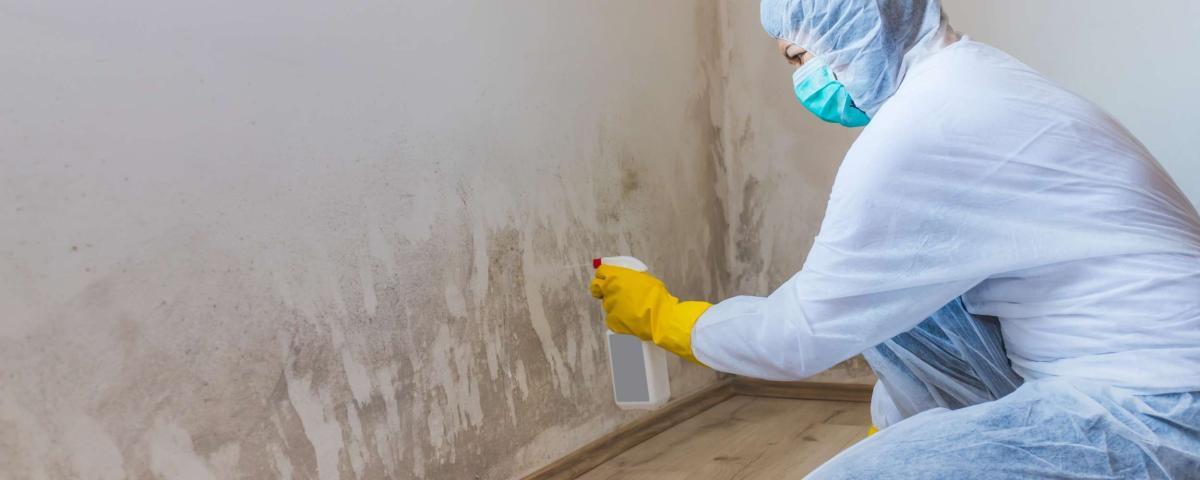 Schimmel entfernen: Person in Schutzkleidung sprüht Mittel gegen Schimmel an einer Wand. Fokus auf Schimmelbeseitigung und Gesundheitsschutz.