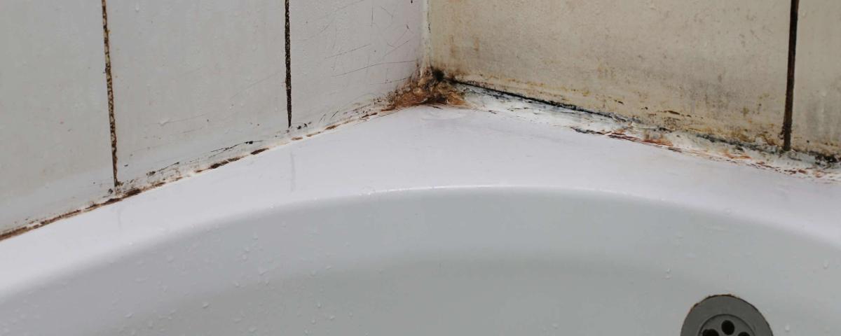 Schimmel im Bad: Befall an Wandfliesen und Badewannenrand. Schimmel entfernen in Wohnung, Dusche, Möbel, Tapete. Schimmel-im-Bad.jpg