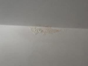 Weißer Schimmel an der Wand