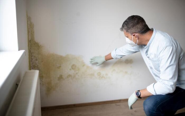 Professionelle Schimmelentfernung an der Wand