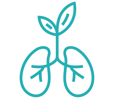 Icon gesunde Lunge für Psychotherapie Argeiger. Abstraktes Symbol: stilisierte Lunge, aus der ein Trieb mit Blättern wächst. Türkis auf Schwarz.