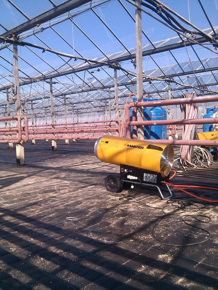 Gelbe Master-Heizung in einem Gewächshaus (Greenhouse). Heizgerät, Rohre und blaue Tanks unter transparentem Dach. BLP 103 Heizung.