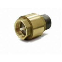 Messing-Rückschlagventil VE/VX-Serie 6100000150. Detailaufnahme eines Ventils für Flüssigkeiten und Gase. Industrietechnik, zuverlässig.