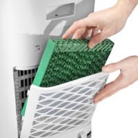 PAE-35 Verdunstungsfilter: Hände setzen grünen Filter in Luftkühler ein. Optimale Kühlung für Ihr Zuhause. Jetzt entdecken!