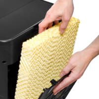 PAE-60/61 & PAE-80/81 Verdunstungsfilter: Hände setzen Filter in Luftkühler ein. Wartung und Austausch für optimale Kühlleistung.