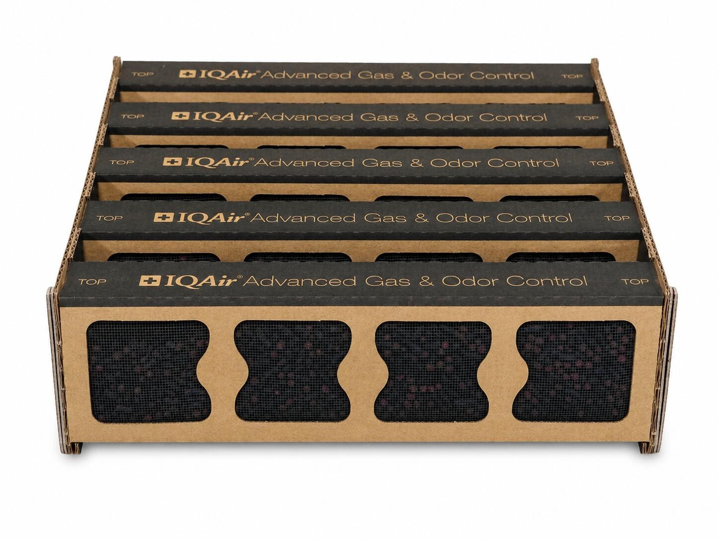 IQAir V5 Cell Filter Ersatzfilter für HealthPro 250 & XE